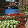 Another view of one of the many gardens on the river walk. In the distance you can see a city street crossing the river.